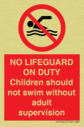 no-lifeguard-on-dutychildren-should-not-swim-without-adult-supervision~